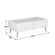 Skandi 2 Drawer Coffee Table - White Two Tone